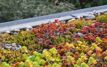 the cost of Darton green roof installation