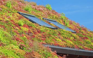 Darton living roof systems